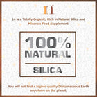 1ne Celtix Diatomaceous Earth (Food Grade)