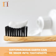 1ne Celtix Diatomaceous Earth (Food Grade)