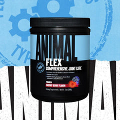Animal Flex Powder 348g - 369g
