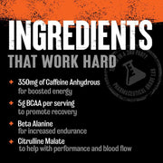 Animal Fury 480g-512g Powder | Pre-Workout Powder