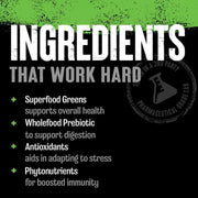 Animal Greens 30 Packs | Greens Supplement