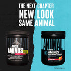 Animal Juiced Aminos 368g Powder | Amino Acid Powder | Amino Acid Supplement