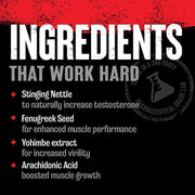 Animal Test 21 Packs Capsules | Performance Support Pack | Performance Support Supplement