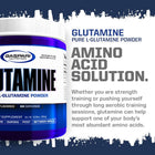 Gaspari Nutrition Glutamine 300g Powder