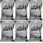 Guiltfree Sugar Free Everton Mints 75g