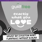 Guiltfree Sugar Free Everton Mints 75g