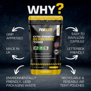 PROELITE Berberine Vegan Capsules