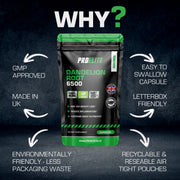 PROELITE Dandelion Root Capsules