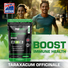 PROELITE Dandelion Root Capsules