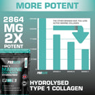PROELITE Marine Collagen Capsules