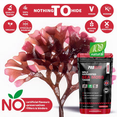 PROELITE Sea Moss Vegan Capsules