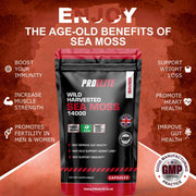 PROELITE Sea Moss Vegan Capsules