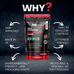 PROELITE Sea Moss Vegan Capsules