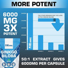 PSN Ginkgo Biloba Tablets
