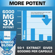 PSN Ginkgo Biloba Tablets