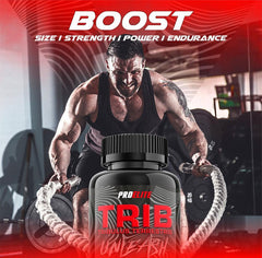 Pro-Elite Tribulus Terrestris 240 Capsules