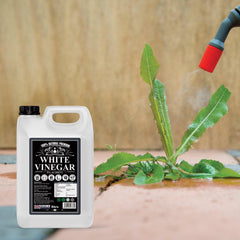 Pure Source Nutrition White Vinegar 5% Acidity