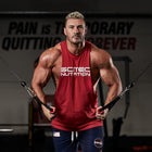 Scitec Nutrition Jumbo Hardcore 5.35kg