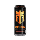 Total Body Fuel REIGN 1x500ml