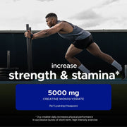 USN Pure Creatine Monohydrate Powder 100g