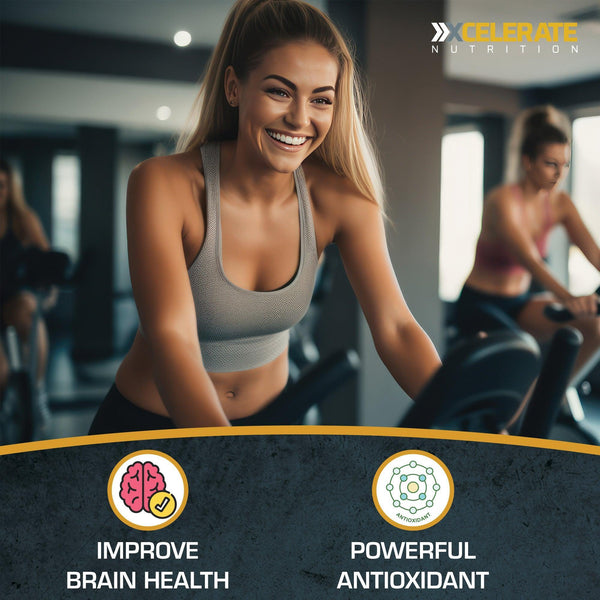 Buy Xcelerate Ginkgo Biloba Tablets | London Supplements