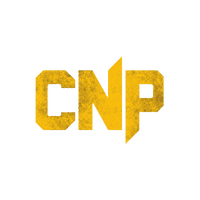 CNP Professional